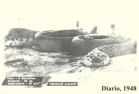 sucuriju1948 sucuriju1948