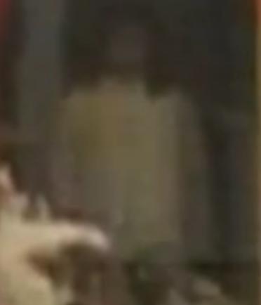Chica fantasma