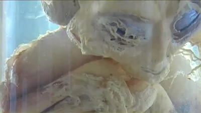 foto de extraterrestre alien conservado intacto por la Nasa
